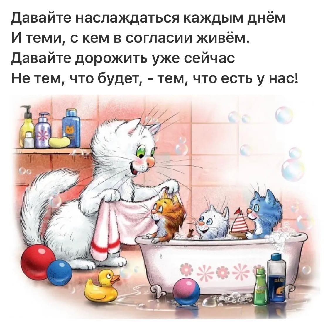 очаровательные коты Рины Зенюк