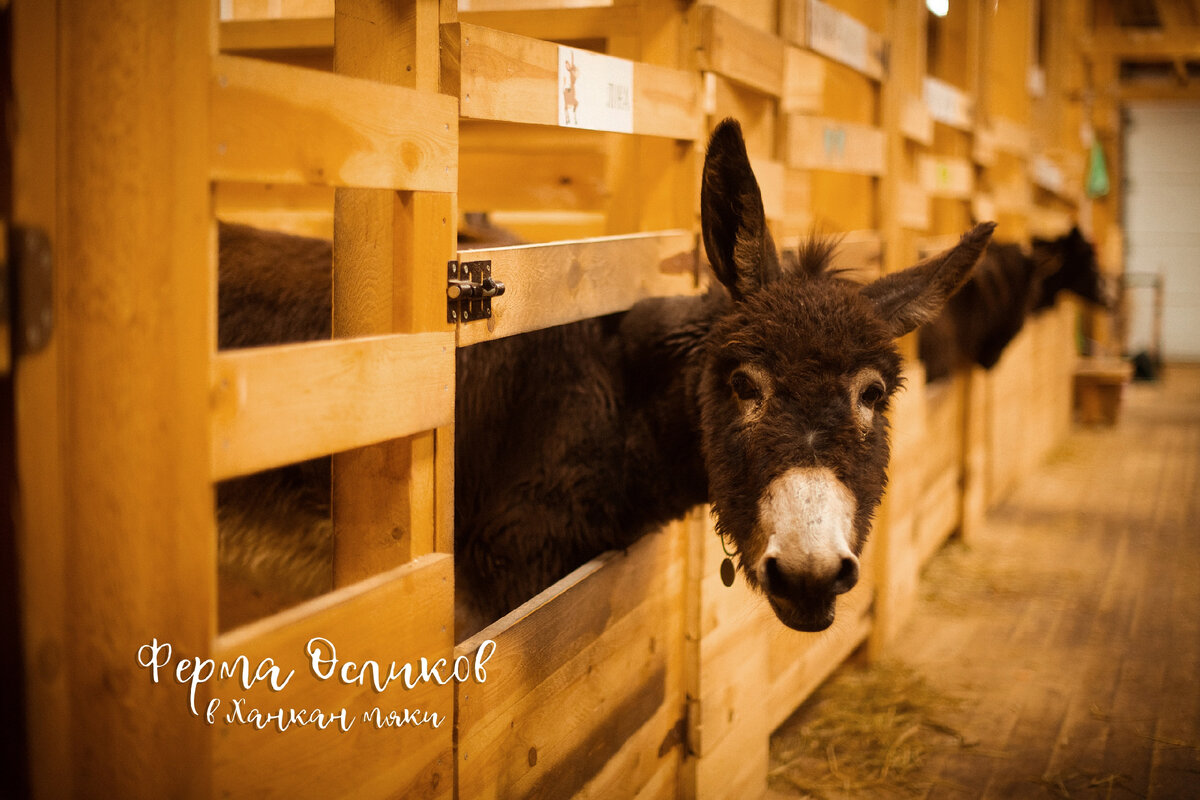 Республика Карелия, Лахденпохский район, п. Ханканмяки, ул. Приозерская.
