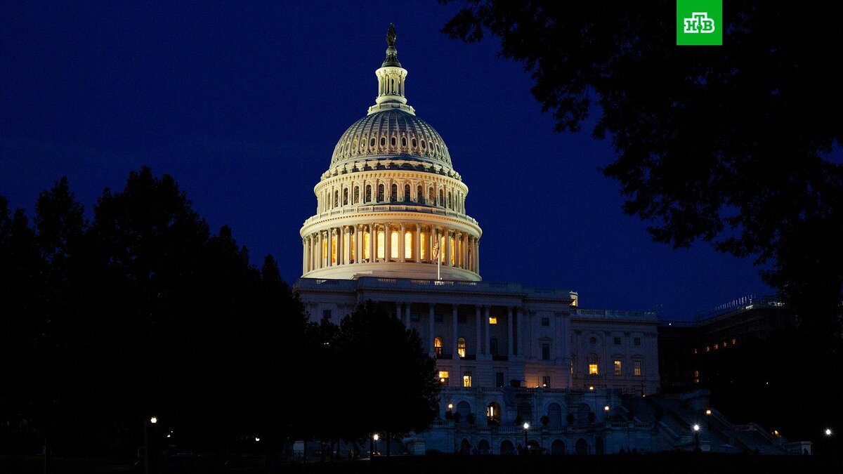    Фото: Darren Halstead / unsplash.com