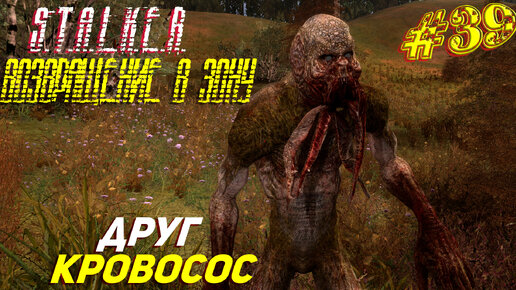 ДРУГ КРОВОСОС ➤ S.T.A.L.K.E.R. Возвращение в Зону Прохождение #39