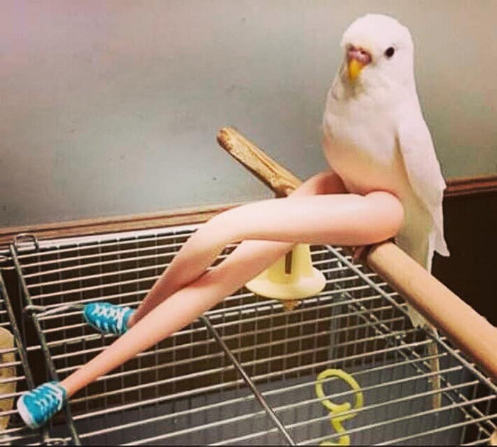 -2