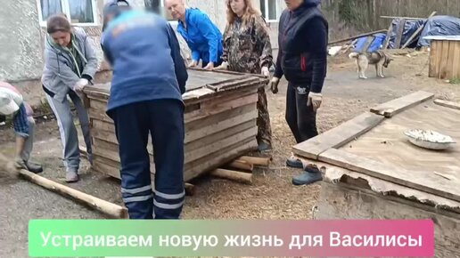 Переместить будку было тяжёлой задачей. Пока Владимир не вмешался