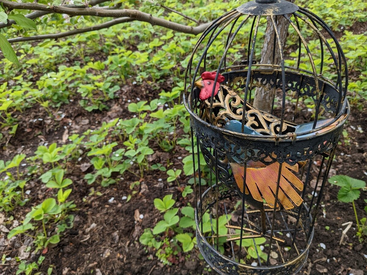 Кто тут себя чувствует как в тюрьме?