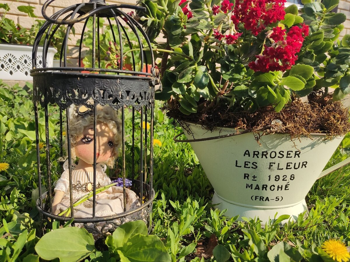 "Но когда заходить мне не хочется в клетку, "Ап!" себе говорю я и делаю шаг"