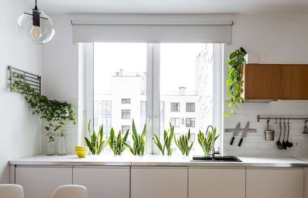  📷Дизайн: Антон Битипаш