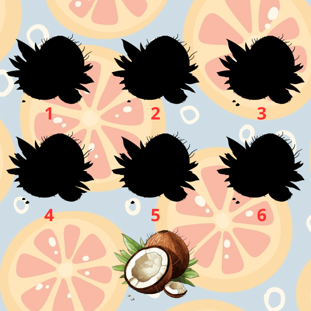 Иллюстрации созданы автором