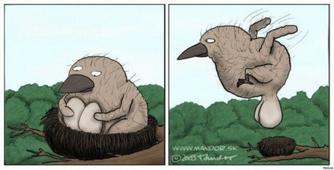 фото из яндекс картинки