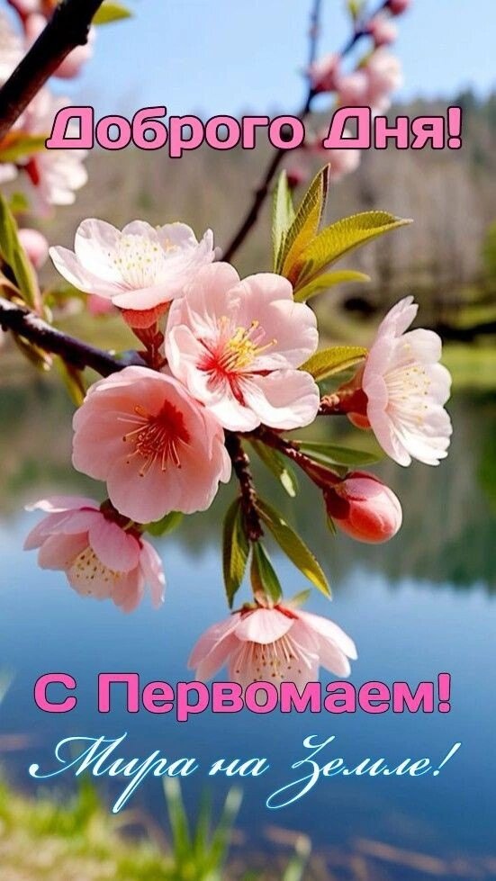 Картинка взята из источника, находящегося в свободном доступе.