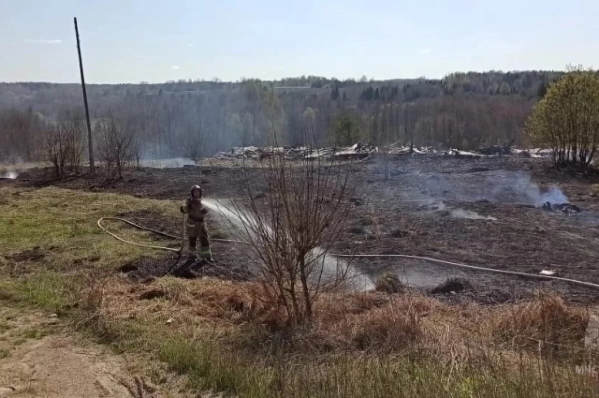    Во время осмотра места возгорания пожарные нашли следы деятельности копателей металла