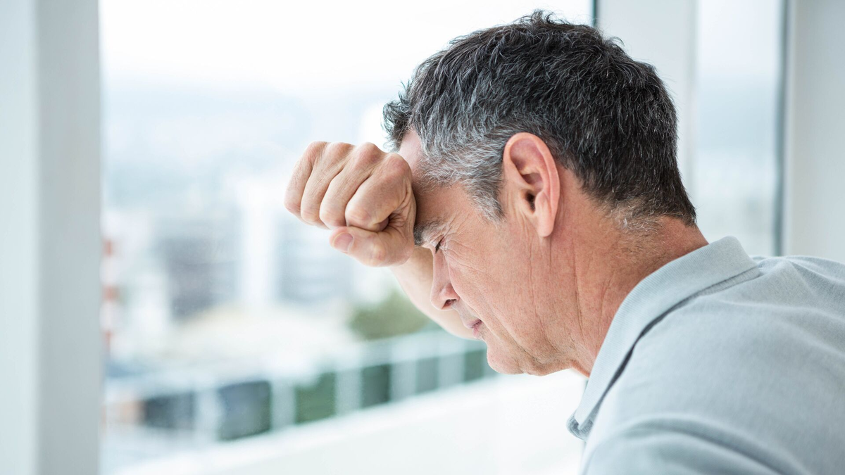 Фото Яндекс картинки.