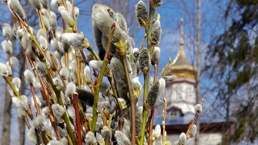 💐28 АПРЕЛЯ💐/ВЕРБНОЕ ВОСКРЕСЕНЬЕ💐/ДЕНЬ РОЖДЕНИЯ💐/РАЗВЛЕКАЕМСЯ💐