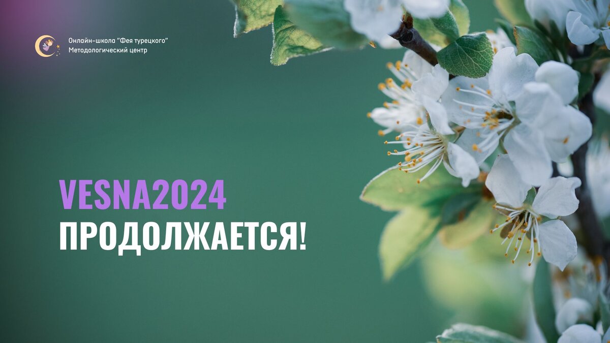 Доступ на 180 дней: вы просили - мы сделали🔥 | Фея турецкого: онлайн-школа  турецкого языка | Дзен