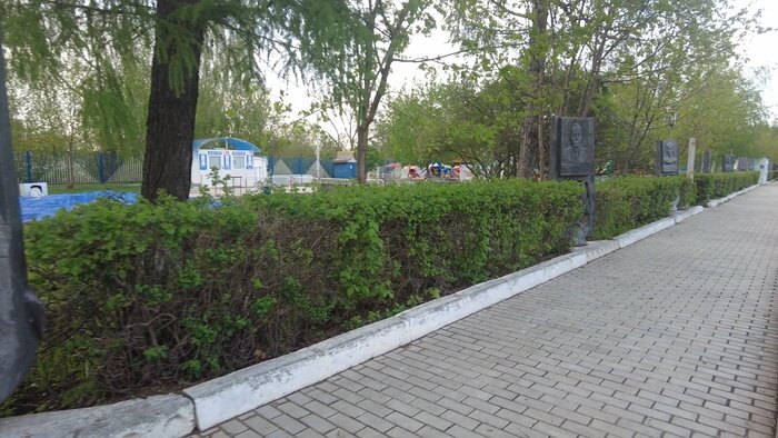 В Окском парке