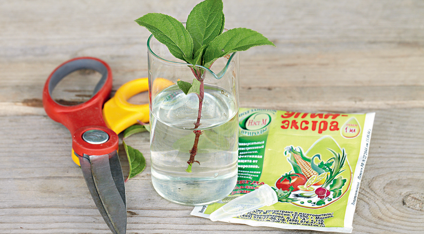 Почему Эпин и Циркон не работают и в каких случаях их применять НЕЛЬЗЯ?