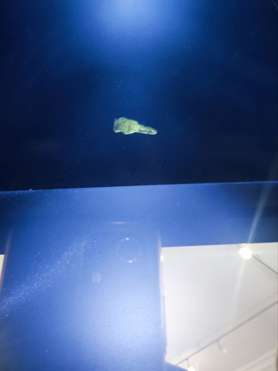 3D- модель того самого перстня