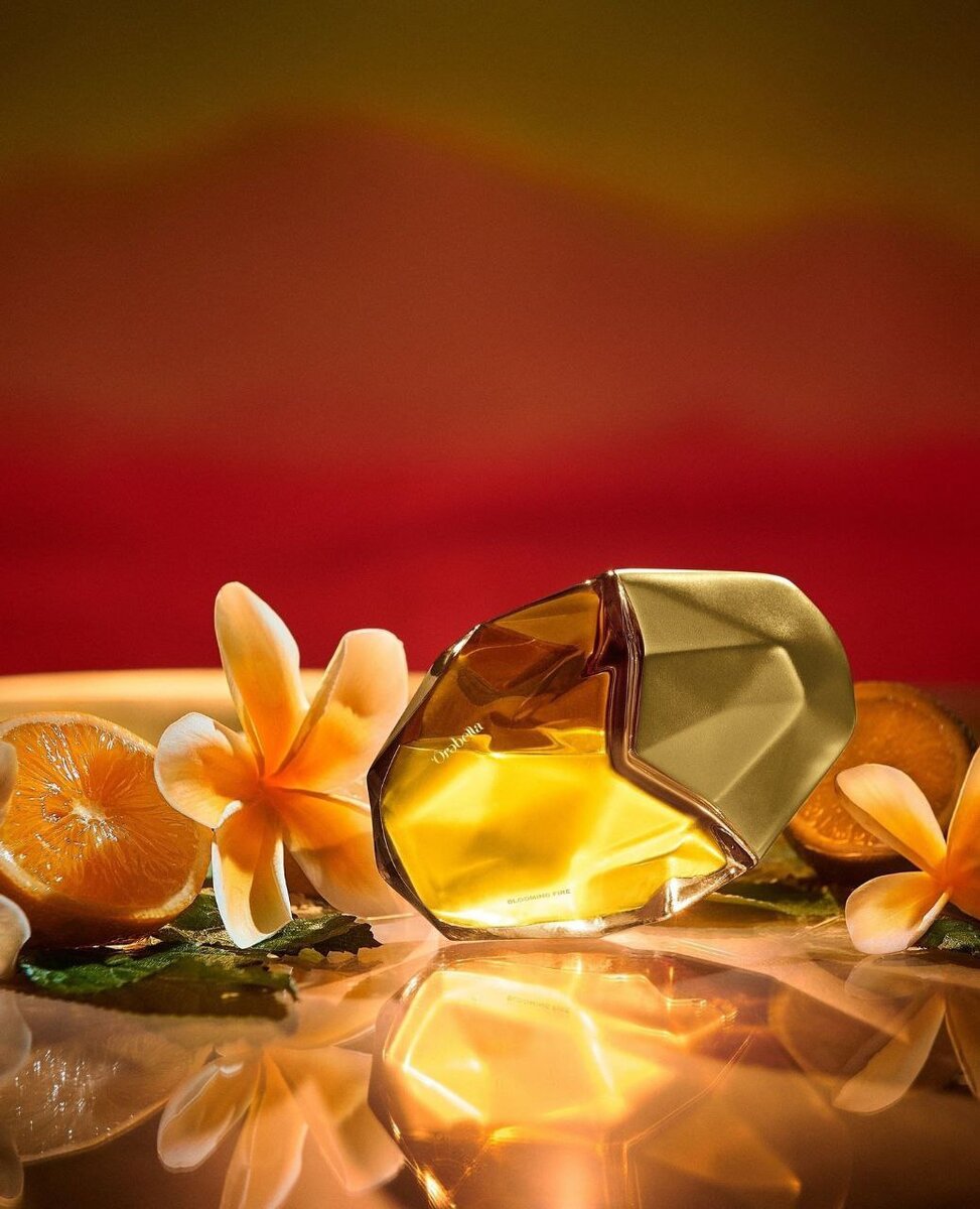    Белла Хадид показала первую кампанию своего бренда Orebella (фото 3)