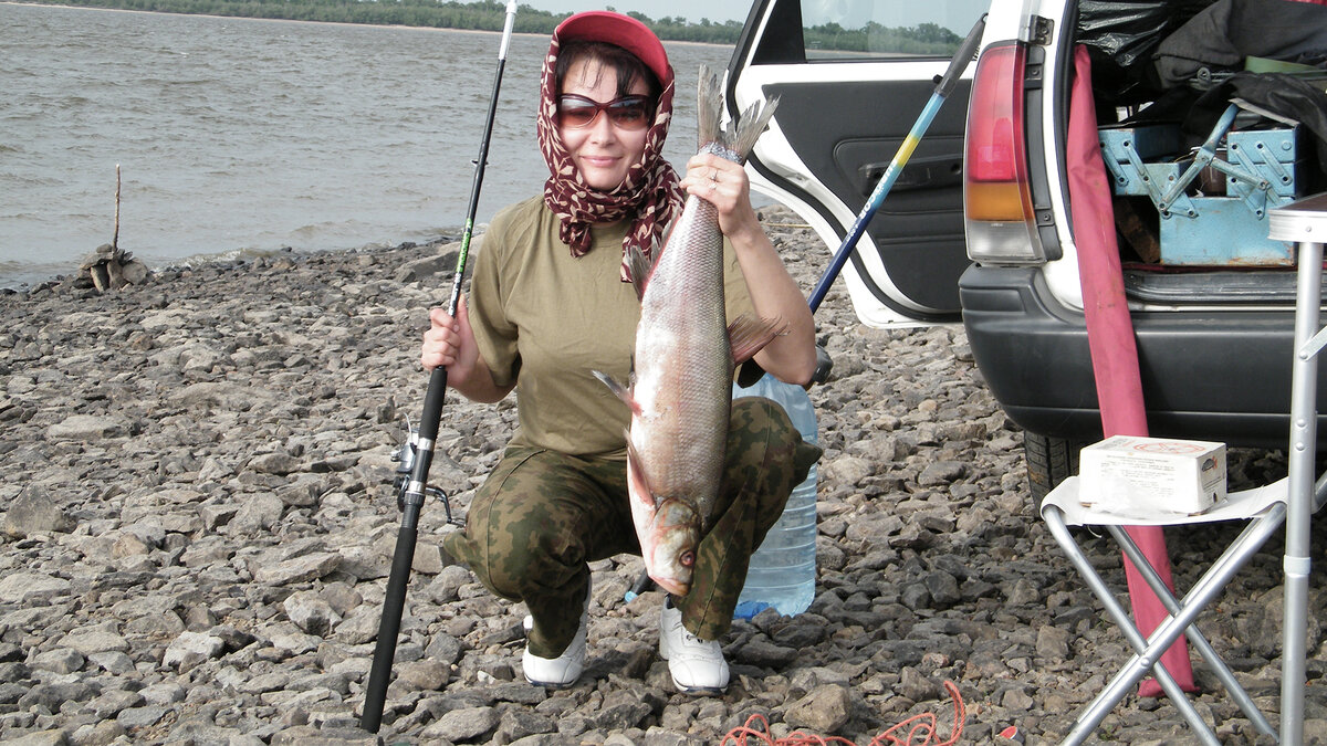 Авторство: Andshel. Собственная работа, CC BY-SA 3.0, commons.wikimedia.org