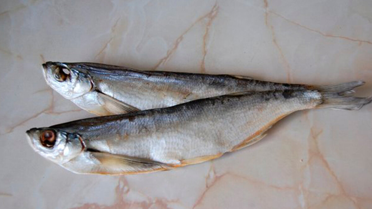 Чехонь холодного копчения. Рыба сабля чехонь. Чехонь залом. Рыба чехонь как готовить. Чехонь каспийская.