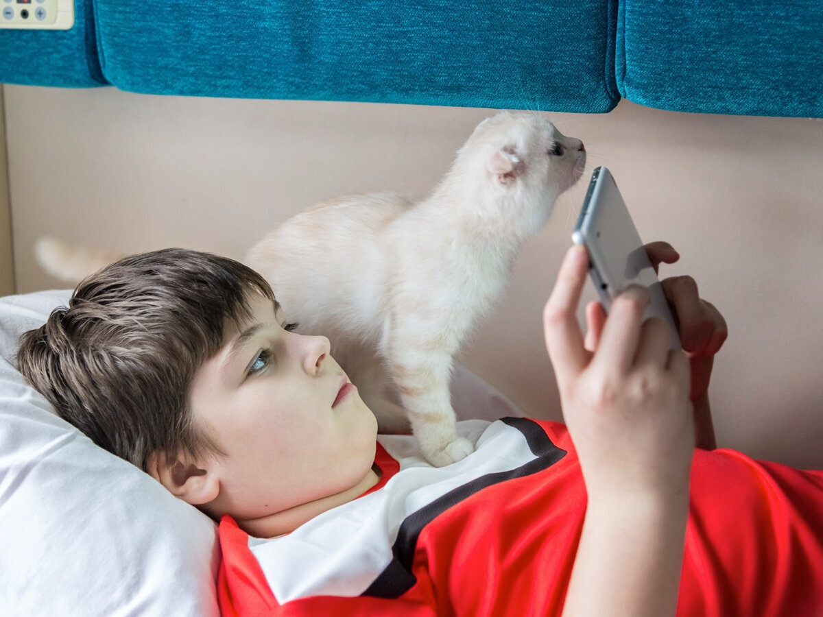 Выпускать кошку из переноски во время поездки можно, но по согласованию с попутчиками и проводником. Фото: shutterstock.com