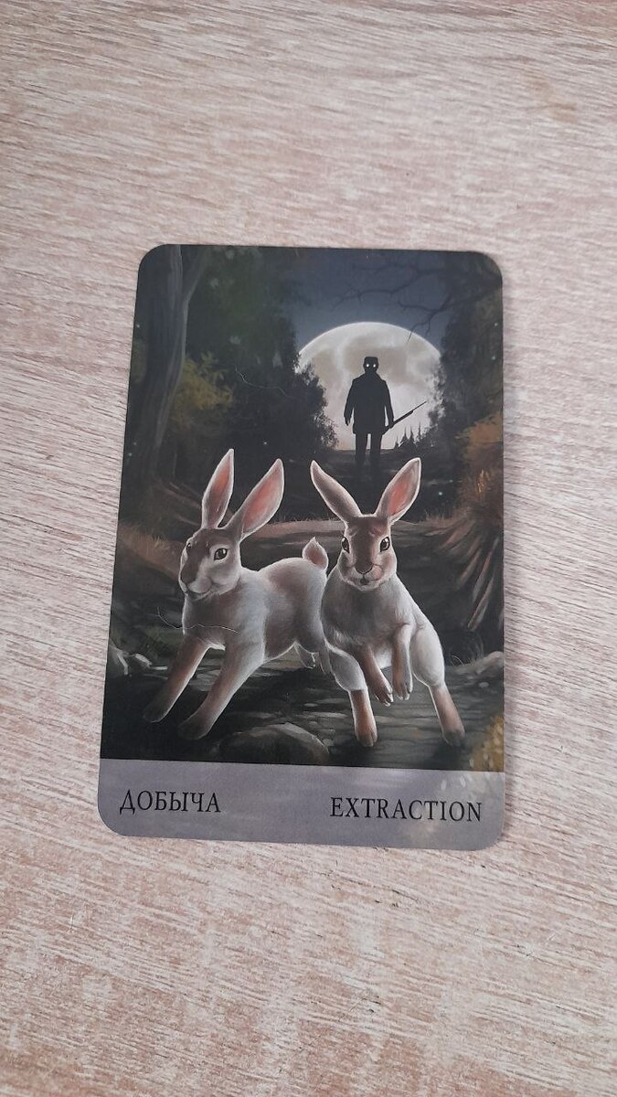 фото  автора 