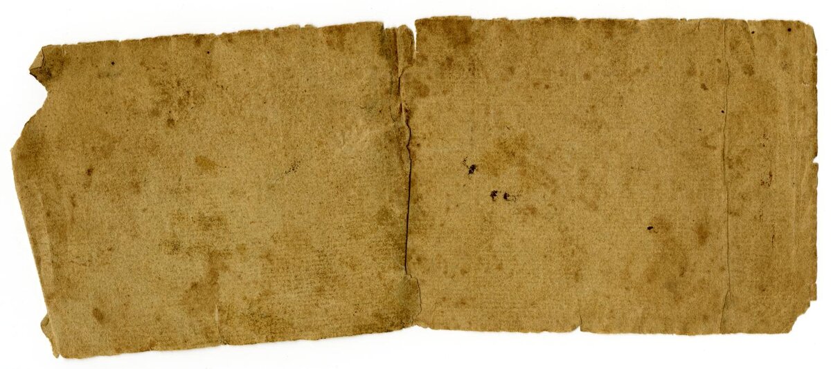 Образец первой бумаги