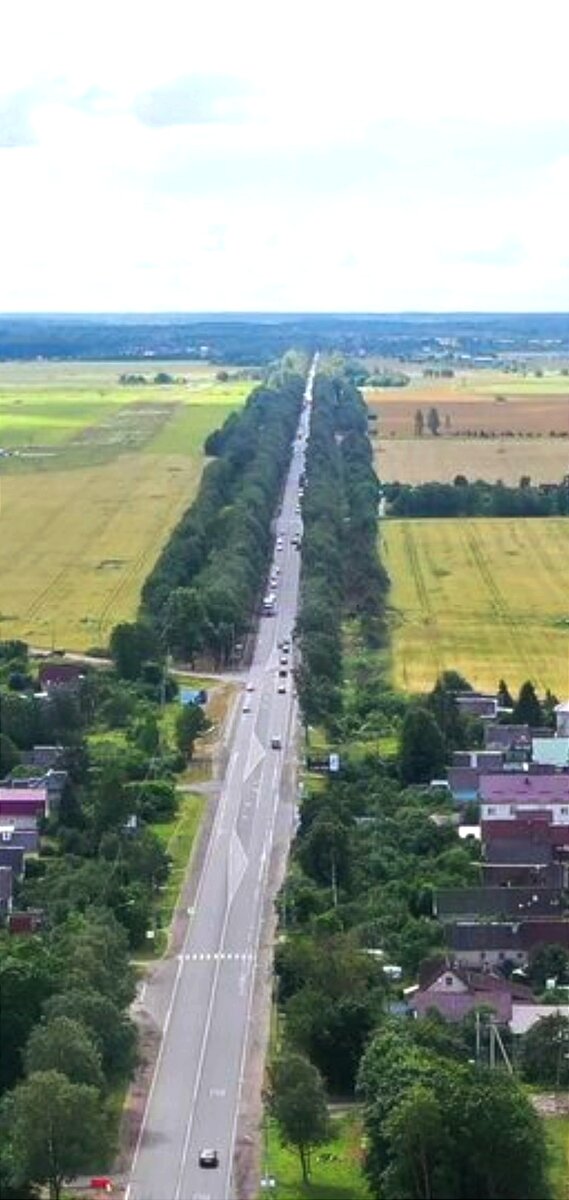 Фото уникальной аллеи с высоты птичьего полёта. Пресс-служба Упрдор "Северо-запад"
