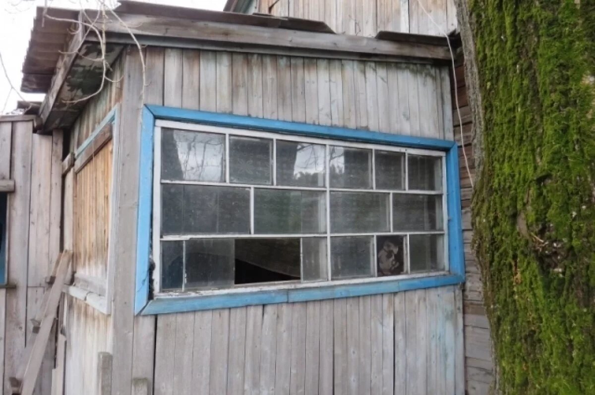    Сотовый телефон украли у жителя Томской области, пока он спал