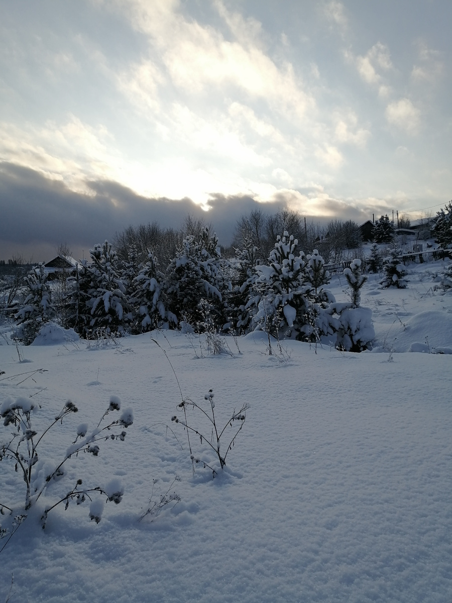 Личное фото. 