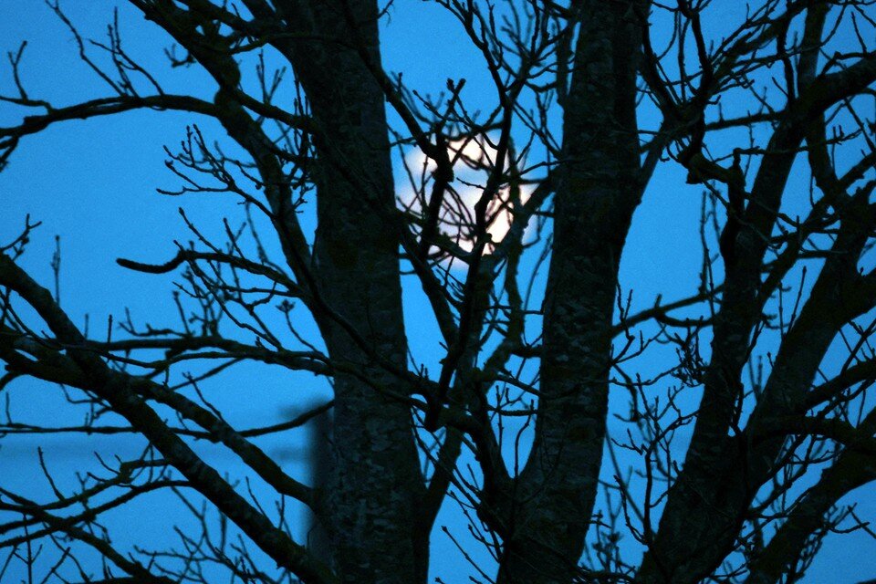    При планировании дел в мае важно учитывать Луну REUTERS