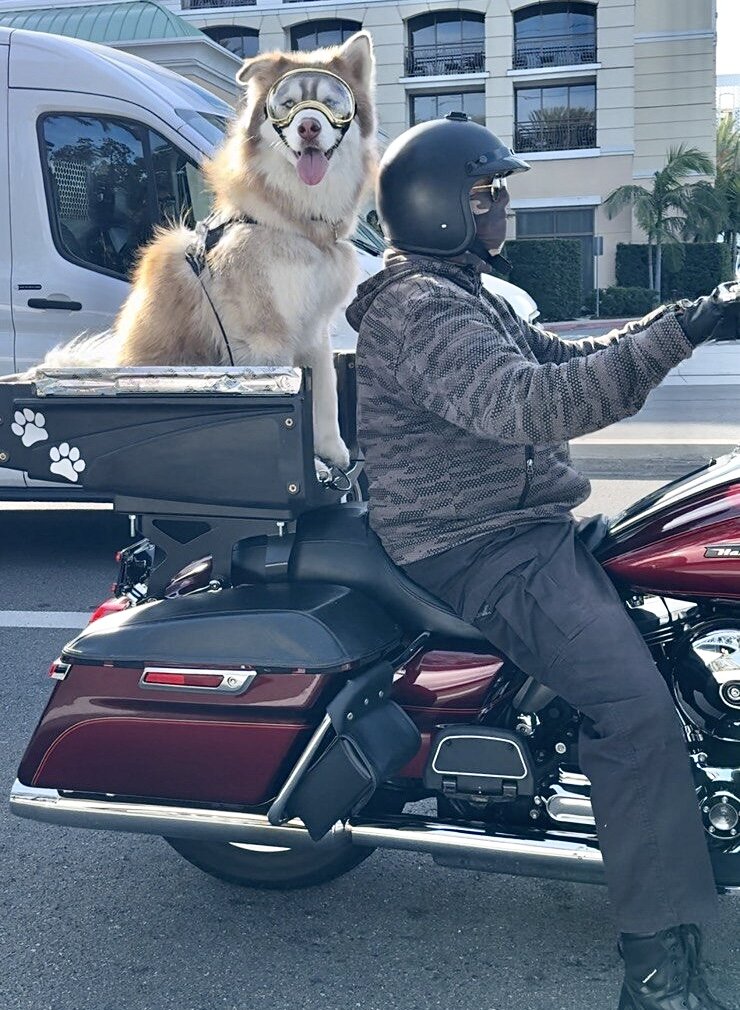 Все фото отправил Андрей