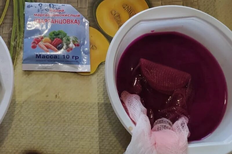 Замачиваю в растворе марганцовки.