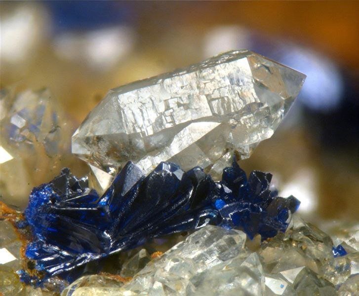 Фото из Интернета.
