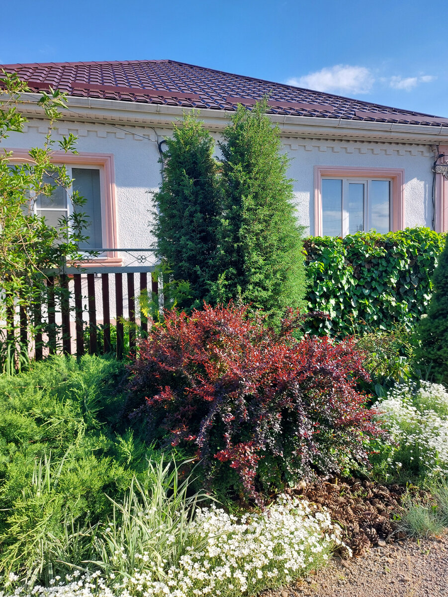 Фото автора Жизнь в селе