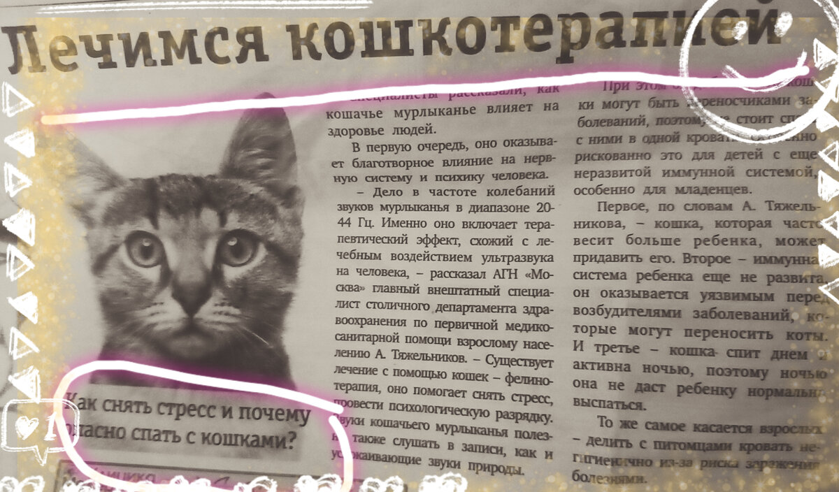 Сама статья. Из газетной вырезки.