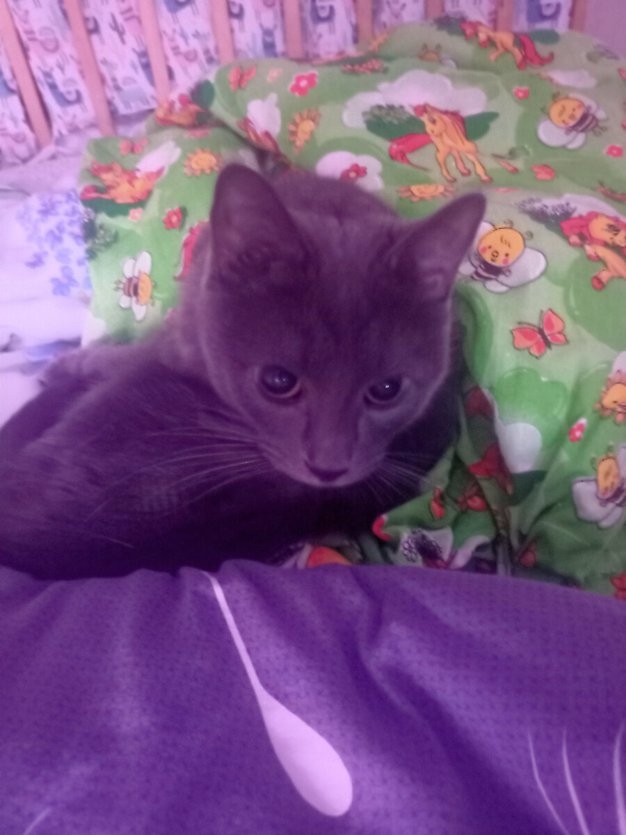 Я пишу статью, а он тут как тут.