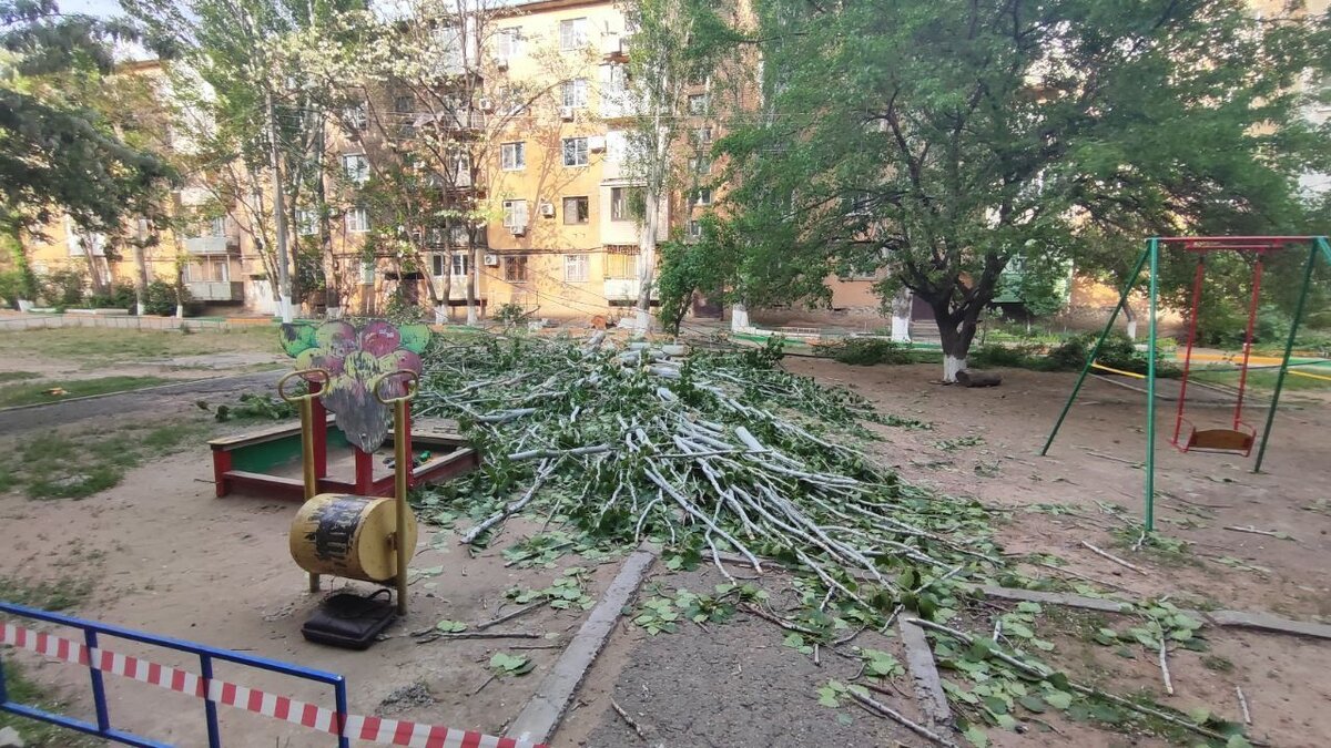 Фото: СУ СКР по Астраханской области 
