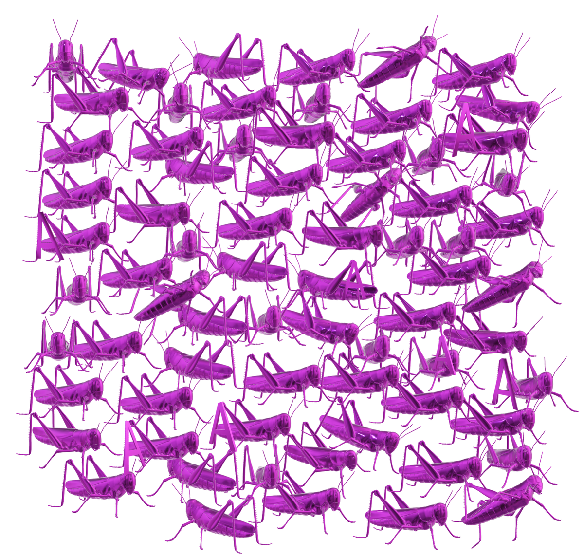 найдите среди кузнечиков 7 букв А