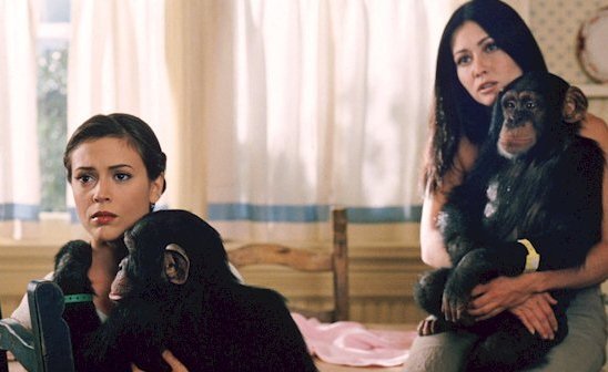 Прю и Фиби с "волшебными" обезьянками.