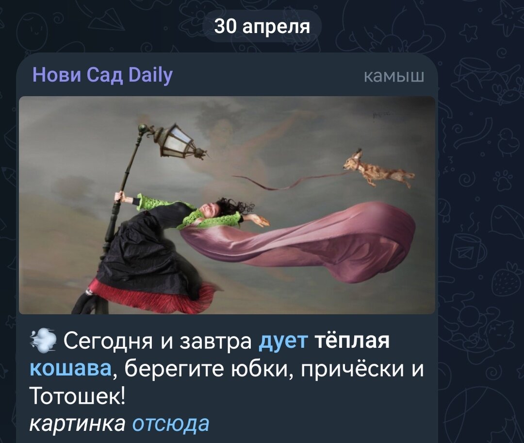 Скрин из замечательного паблига в ТГ. 