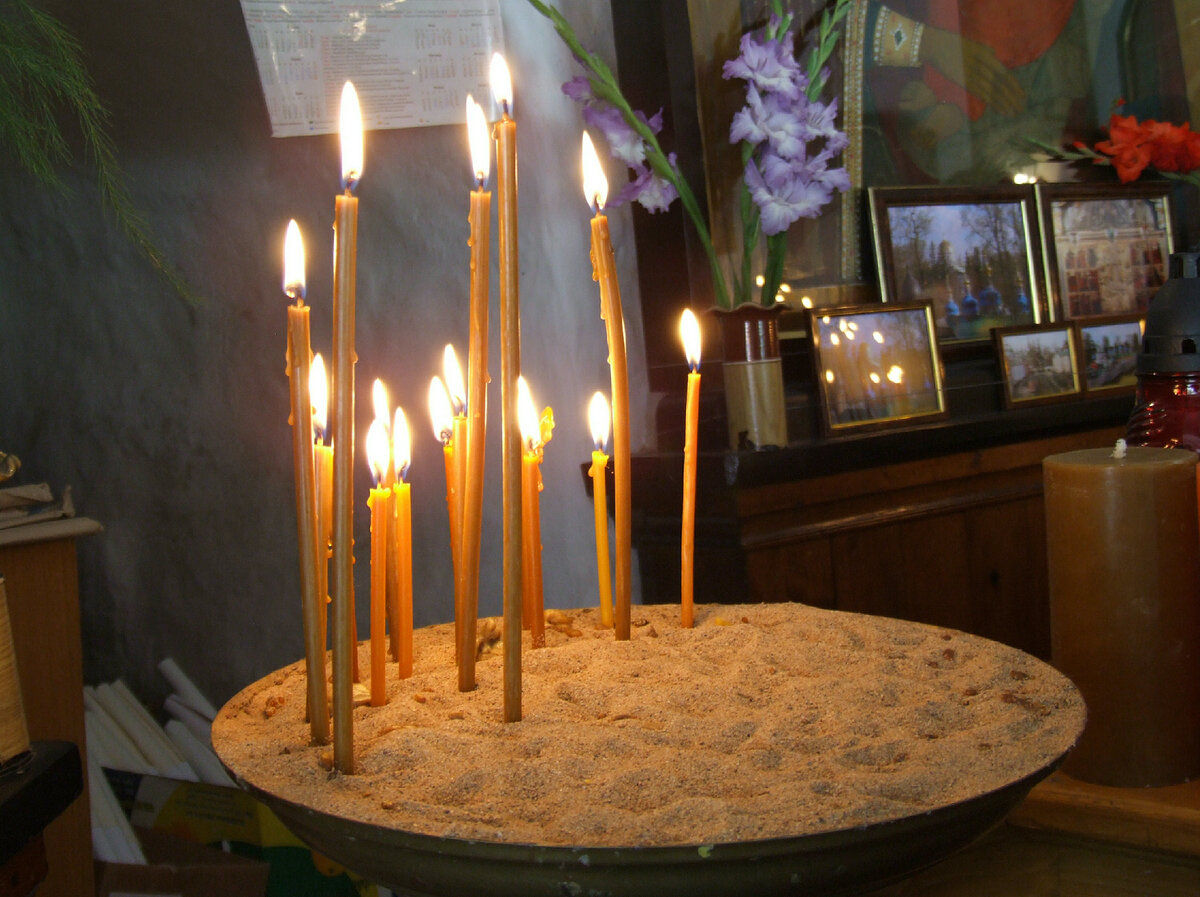 Фото: Victor Lisitsyn/Global Look Press