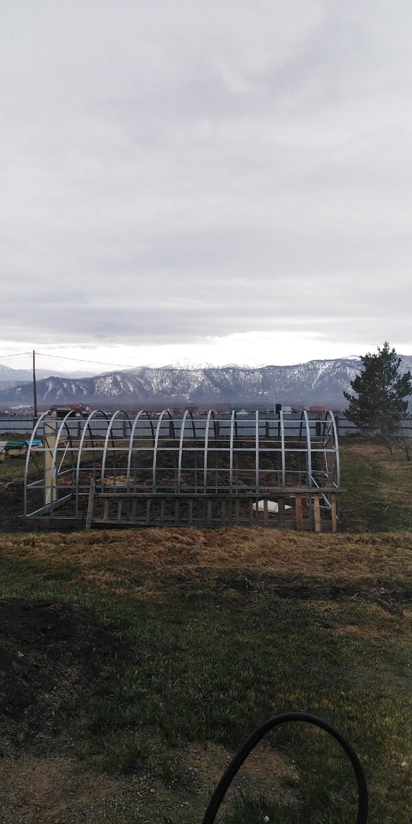 Мечты сбываются! 