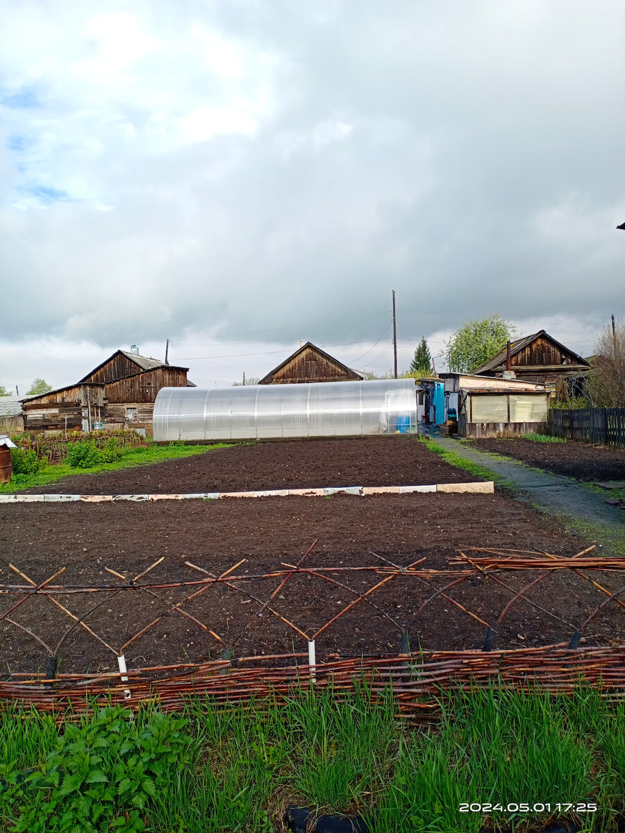 Между плетнём и бордюром будет клеверный газон.