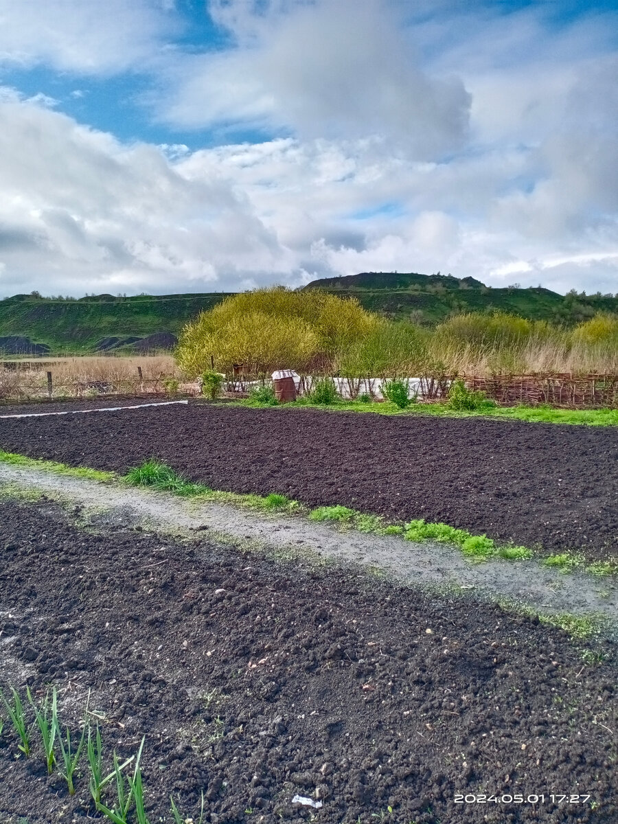 Картошка посажена. Ждём урожая!
