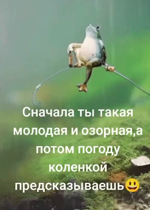 И такое тоже есть. Картинка из интернета, значит я не одна такая