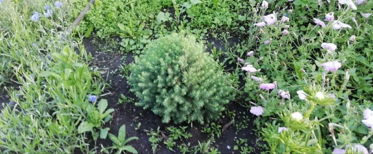 Не в тему. Недавно отметила изменение в себе: раньше я практически не уделяла внимания информации о каких-либо личностях. К примеру, читала рассказ, суть помню, автора не помню. В научных книгах пишут о личностях, которые внесли особый вклад в развитие - вообще читала по диагонали, отражая достижения, но вообще игнорируя ФИО. А последнее время стала интересоваться личностями. Ранее я видела это просто, как вехи в развитии науки, а теперь как упорный труд человека в какой-то области, в которой он стал супер-героем, и стало интересно, как он стал таким супер-героем :)