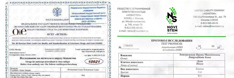 Образцы сертификатов теста