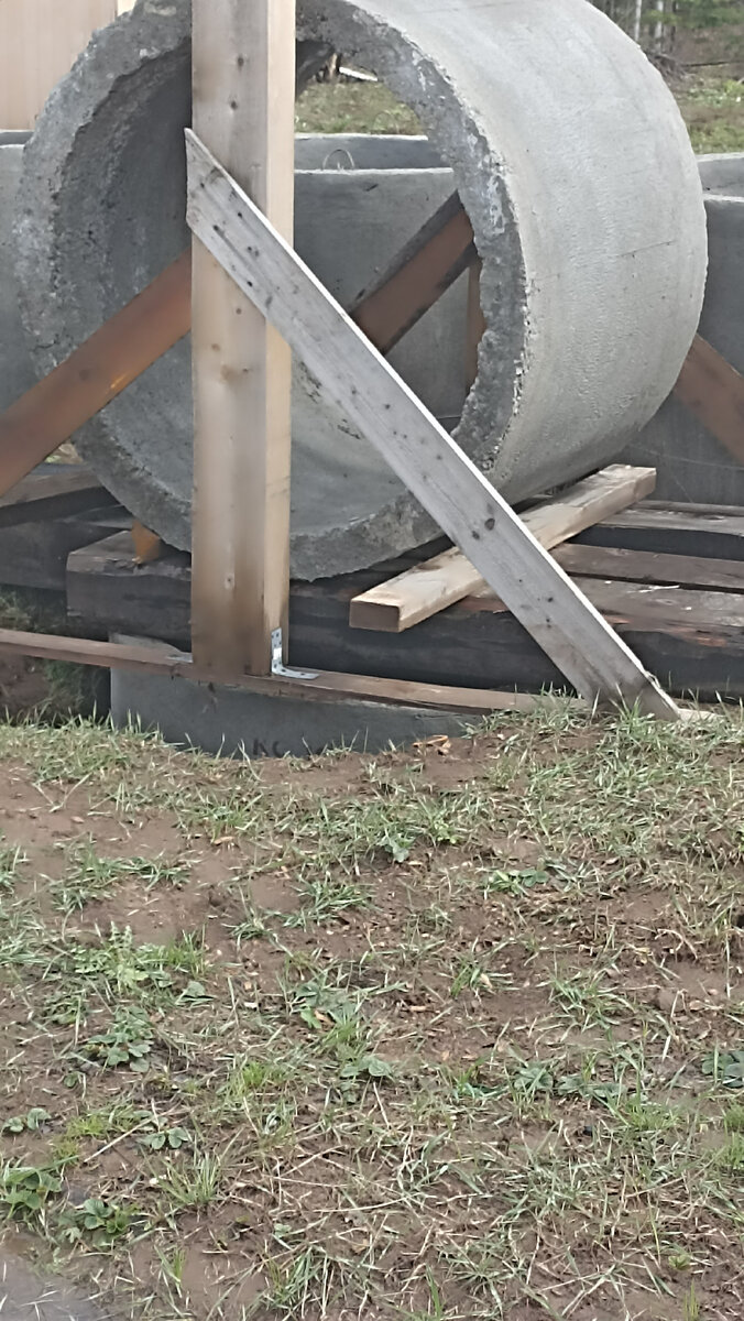 Осенью кольцо было выше, чем наполовину над землёй. 