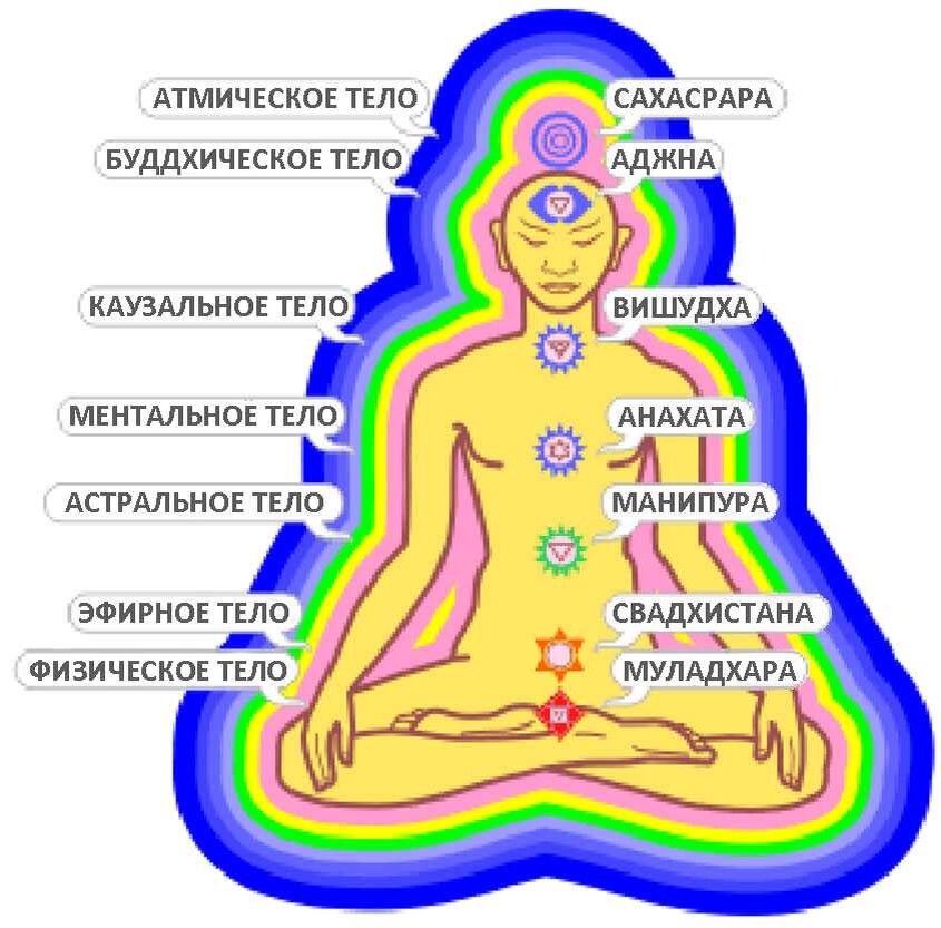 Тонкое строение тела человека