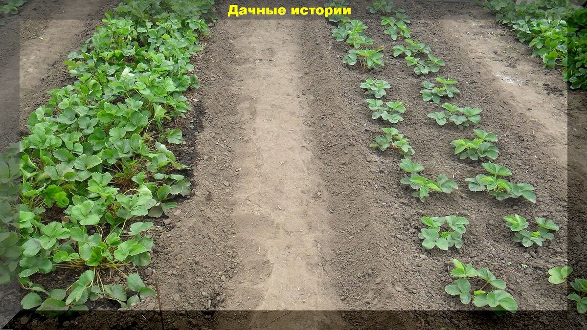 https://vk.com/photo-159774511_457265358