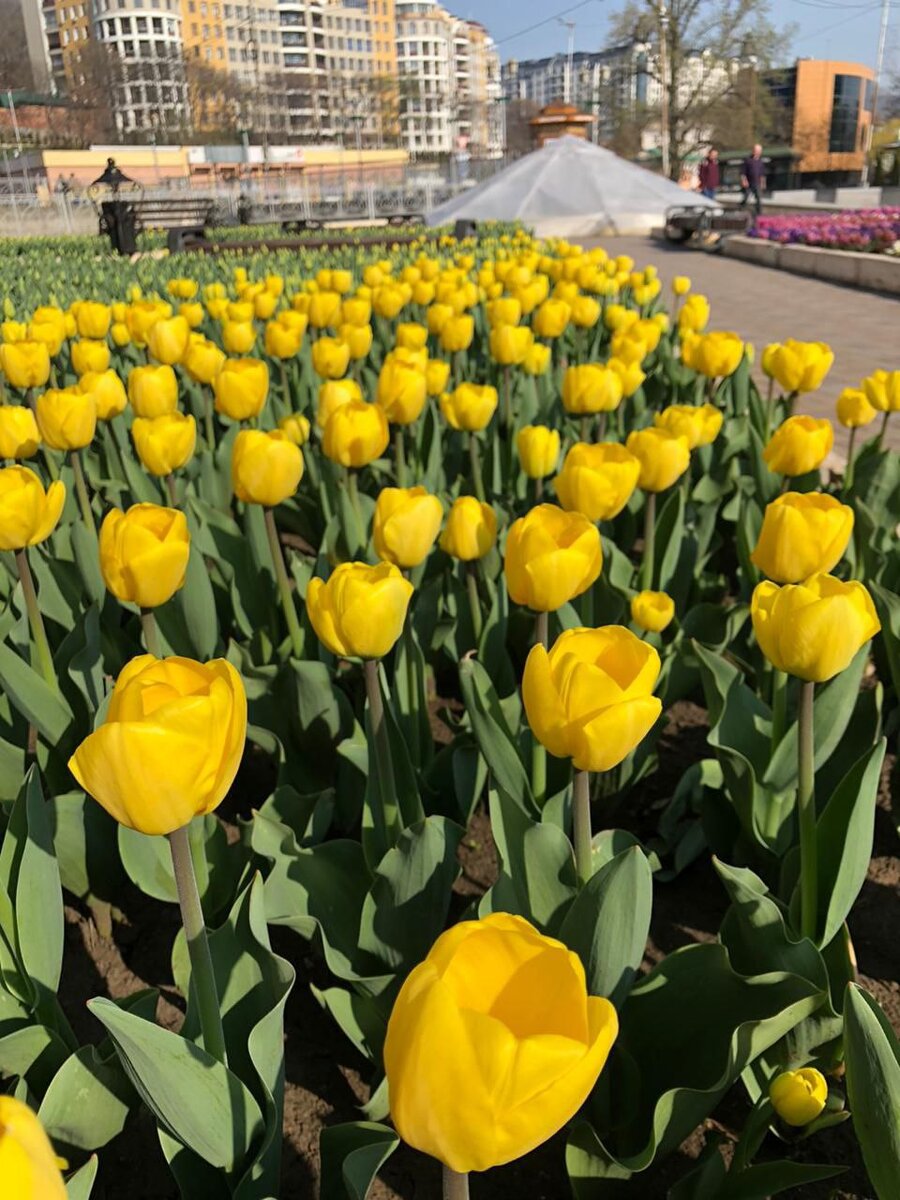 фото из личного архива